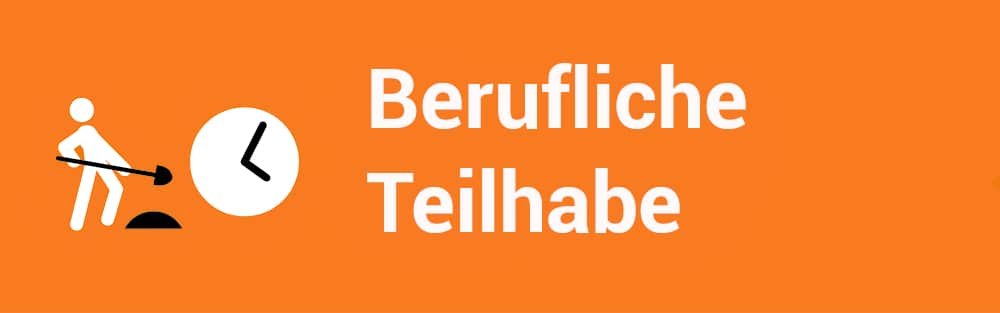 Berufliche Teilhabe, Arbeiten